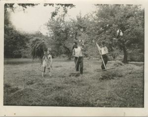 576560_153354271494241_2087355352_n